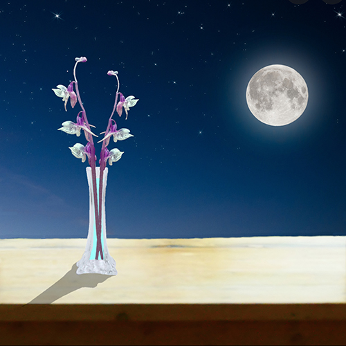 Ghosts by Moonlight